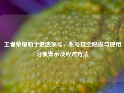 王者荣耀助手遭遇顶号，账号安全隐患与使用习惯警示及应对方法