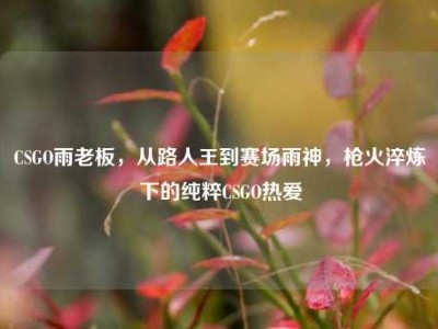 CSGO雨老板，从路人王到赛场雨神，枪火淬炼下的纯粹CSGO热爱