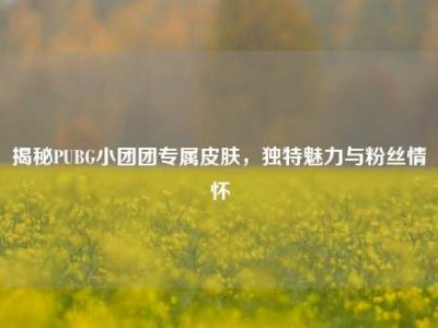 揭秘PUBG小团团专属皮肤，独特魅力与粉丝情怀