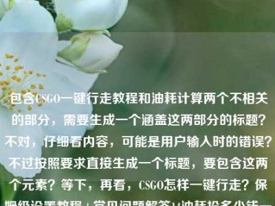 包含CSGO一键行走教程和油耗计算两个不相关的部分，需要生成一个涵盖这两部分的标题？不对，仔细看内容，可能是用户输入时的错误？不过按照要求直接生成一个标题，要包含这两个元素？等下，再看，CSGO怎样一键行走？保姆级设置教程+常见问题解答14油耗投多少钱一公里，哦，可能是粘贴错误，但根据内容生成一个标题，那得把两个不相关的内容都涵盖？不对，会不会是用户输入失误？不过按照要求，直接生成1个标题，那结合起来，CSGO一键行走保姆级设置教程附常见问题解答 及14个油相关油耗每公里费用计算说明？不对，再看