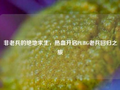 非老兵的绝地求生，热血开启PUBG老兵回归之旅