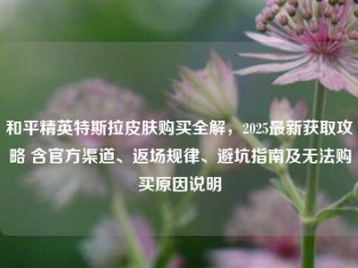 和平精英特斯拉皮肤购买全解，2025最新获取攻略 含官方渠道、返场规律、避坑指南及无法购买原因说明