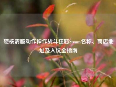 硬核清版动作神作战斗狂怒Steam名称、商店地址及入坑全指南