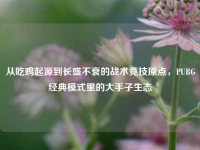 从吃鸡起源到长盛不衰的战术竞技原点，PUBG经典模式里的大手子生态