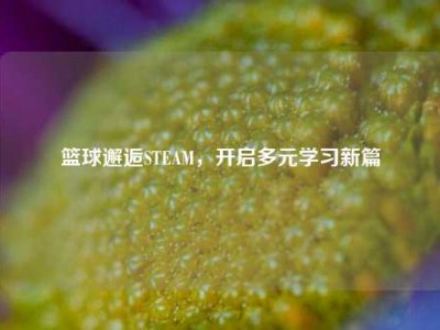 篮球邂逅STEAM，开启多元学习新篇