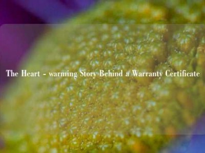 The Heart - warming Story Behind a Warranty Certificate