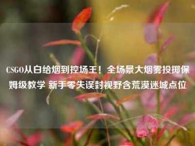 CSGO从白给烟到控场王！全场景大烟雾投掷保姆级教学 新手零失误封视野含荒漠迷城点位