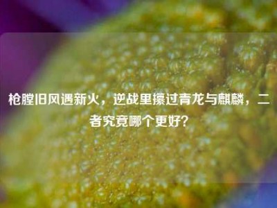 枪膛旧风遇新火，逆战里攥过青龙与麒麟，二者究竟哪个更好？