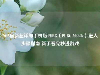 2025最新超详细手机版PUBG（PUBG Mobile）进入步骤指南 新手看完秒进游戏