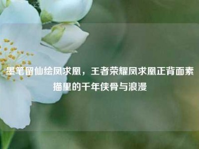 墨笔留仙绘凤求凰，王者荣耀凤求凰正背面素描里的千年侠骨与浪漫