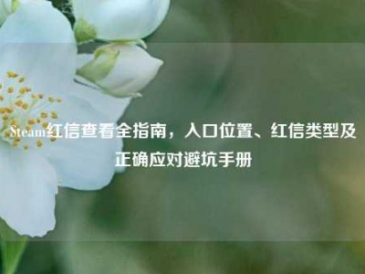 Steam红信查看全指南，入口位置、红信类型及正确应对避坑手册