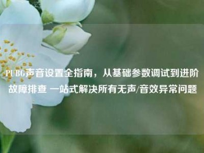 PUBG声音设置全指南，从基础参数调试到进阶故障排查 一站式解决所有无声/音效异常问题