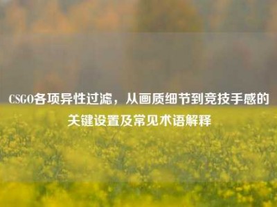 CSGO各项异性过滤，从画质细节到竞技手感的关键设置及常见术语解释