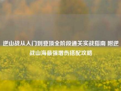 逆山战从入门到登顶全阶段通关实战指南 附逆战山海最强增伤搭配攻略