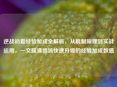 逆战初霜经验加成全解析，从机制原理到实战运用，一文摸清猎场快速升级的经验加成数值