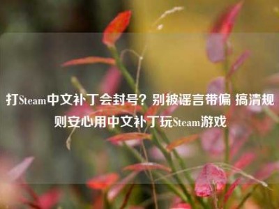 打Steam中文补丁会封号？别被谣言带偏 搞清规则安心用中文补丁玩Steam游戏