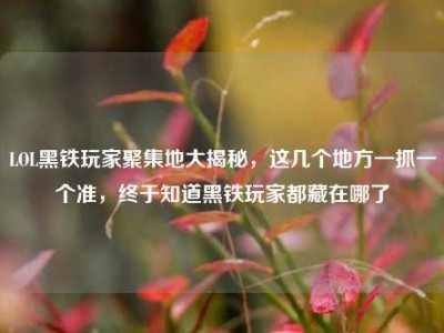 LOL黑铁玩家聚集地大揭秘，这几个地方一抓一个准，终于知道黑铁玩家都藏在哪了