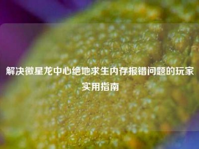 解决微星龙中心绝地求生内存报错问题的玩家实用指南