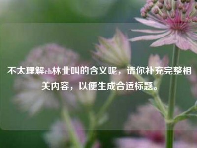 不太理解eh林北叫的含义呢，请你补充完整相关内容，以便生成合适标题。