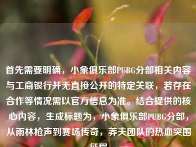 首先需要明确，小象俱乐部PUBG分部相关内容与工商银行并无直接公开的特定关联，若存在合作等情况需以官方信息为准。结合提供的核心内容，生成标题为，小象俱乐部PUBG分部，从雨林枪声到赛场传奇，莽夫团队的热血突围征程
