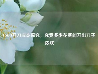 CSGO开刀成本探究，究竟多少花费能开出刀子皮肤