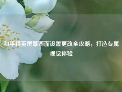 和平精英屏幕画面设置更改全攻略，打造专属视觉体验