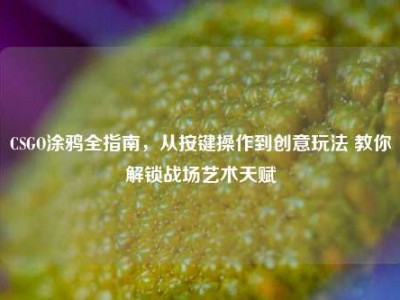 CSGO涂鸦全指南，从按键操作到创意玩法 教你解锁战场艺术天赋
