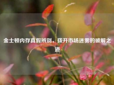 金士顿内存真假辨别，拨开市场迷雾的破解之道