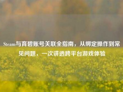 Steam与育碧账号关联全指南，从绑定操作到常见问题，一次讲透跨平台游戏体验