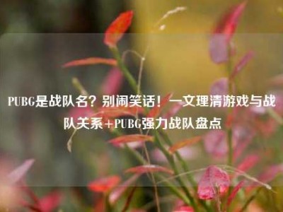 PUBG是战队名？别闹笑话！一文理清游戏与战队关系+PUBG强力战队盘点