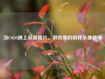 当CSGO遇上呆萌图片，游戏里的别样头像趣味