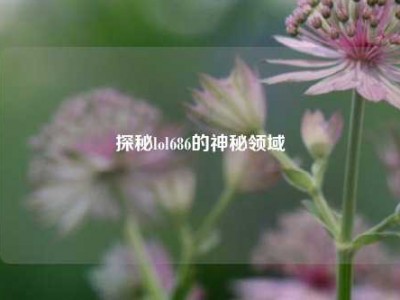 探秘lol686的神秘领域