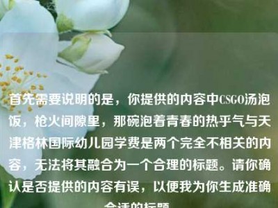 首先需要说明的是，你提供的内容中CSGO汤泡饭，枪火间隙里，那碗泡着青春的热乎气与天津格林国际幼儿园学费是两个完全不相关的内容，无法将其融合为一个合理的标题。请你确认是否提供的内容有误，以便我为你生成准确合适的标题。