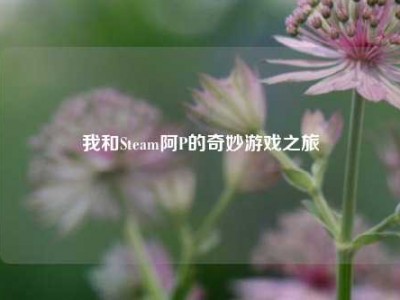 我和Steam阿P的奇妙游戏之旅