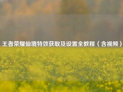 王者荣耀仙境特效获取及设置全教程（含视频）