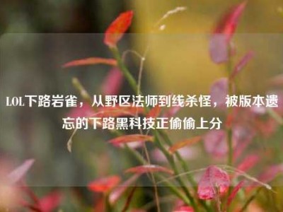 LOL下路岩雀，从野区法师到线杀怪，被版本遗忘的下路黑科技正偷偷上分