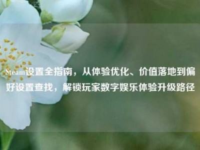 Steam设置全指南，从体验优化、价值落地到偏好设置查找，解锁玩家数字娱乐体验升级路径