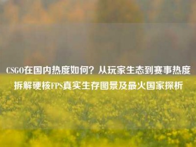 CSGO在国内热度如何？从玩家生态到赛事热度拆解硬核FPS真实生存图景及最火国家探析