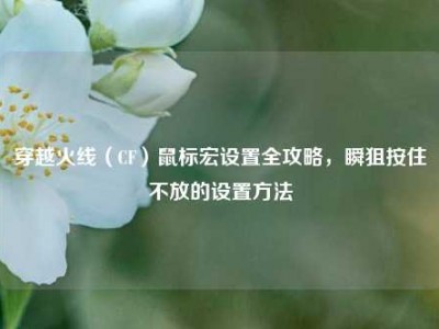 穿越火线（CF）鼠标宏设置全攻略，瞬狙按住不放的设置方法