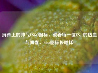 屏幕上的帅气CSGO图标，藏着每一位CSer的热血与青春，csgo图标长啥样