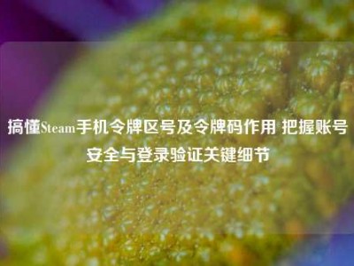 搞懂Steam手机令牌区号及令牌码作用 把握账号安全与登录验证关键细节