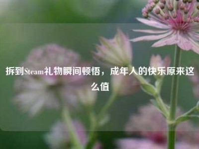 拆到Steam礼物瞬间顿悟，成年人的快乐原来这么值