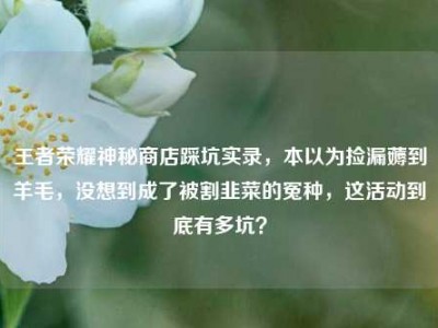 王者荣耀神秘商店踩坑实录，本以为捡漏薅到羊毛，没想到成了被割韭菜的冤种，这活动到底有多坑？