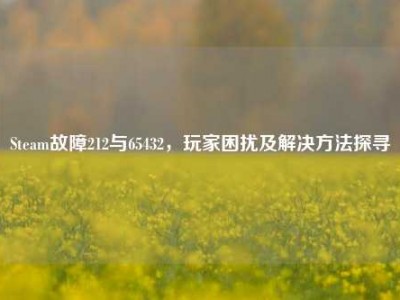 Steam故障212与65432，玩家困扰及解决方法探寻