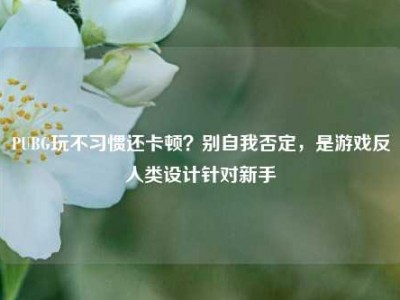 PUBG玩不习惯还卡顿？别自我否定，是游戏反人类设计针对新手