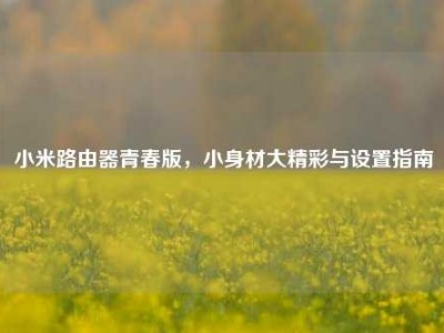 小米路由器青春版，小身材大精彩与设置指南
