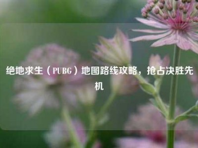 绝地求生（PUBG）地图路线攻略，抢占决胜先机