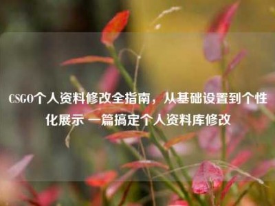 CSGO个人资料修改全指南，从基础设置到个性化展示 一篇搞定个人资料库修改