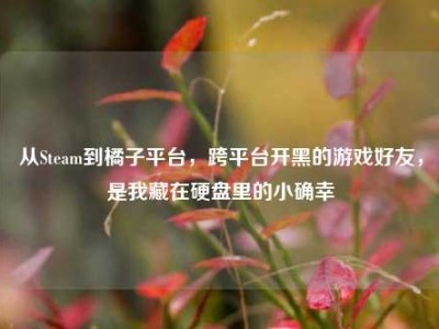 从Steam到橘子平台，跨平台开黑的游戏好友，是我藏在硬盘里的小确幸