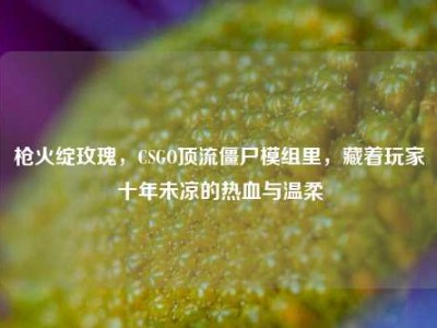 枪火绽玫瑰，CSGO顶流僵尸模组里，藏着玩家十年未凉的热血与温柔